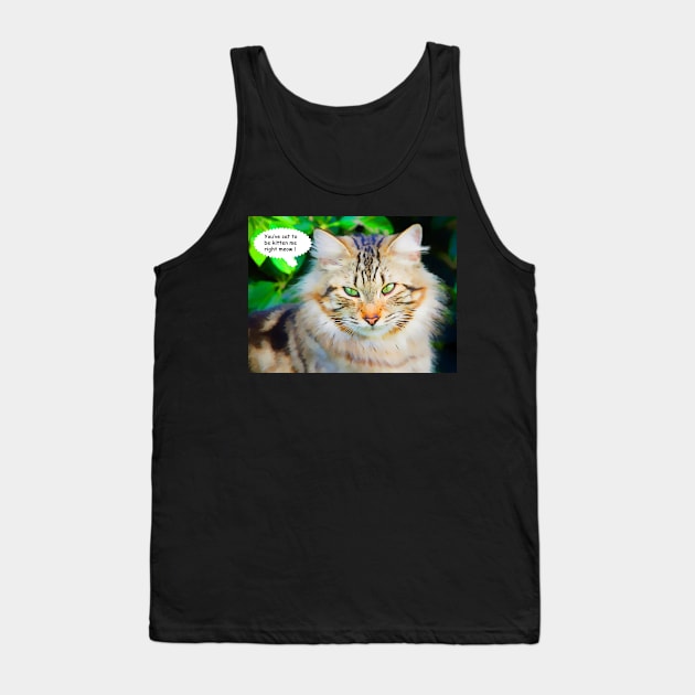 You've Cat to be Kitten Me Right Meow Tank Top by jillnightingale